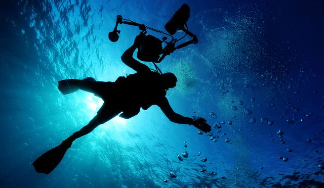 Cenderawasih Dive & Water Adventure